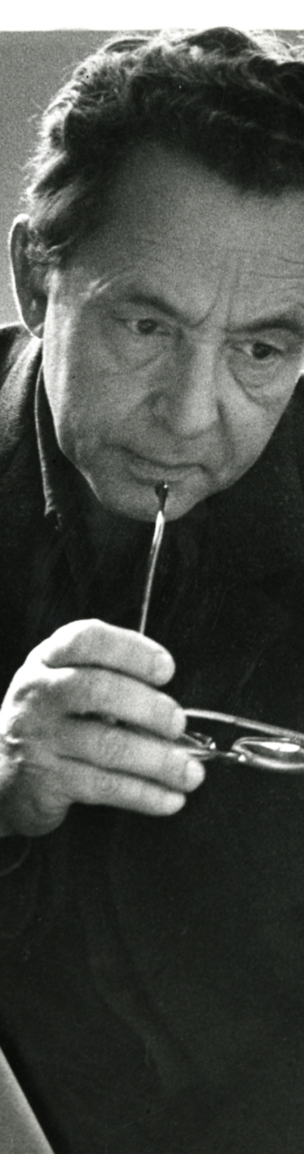 Paolo_Monti_-_Servizio_fotografico_-_BEIC_6340876